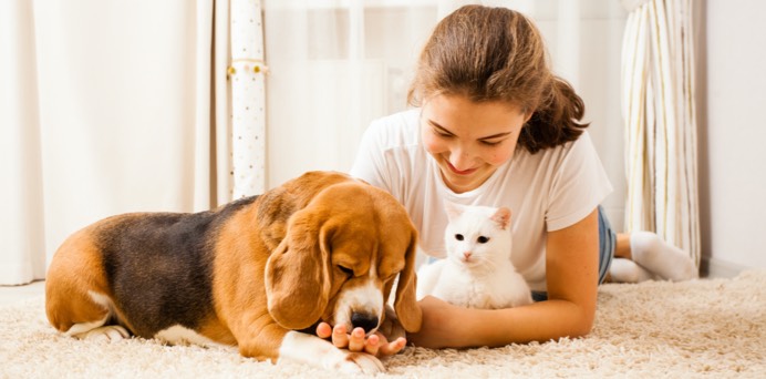 Child playing with dog and cat